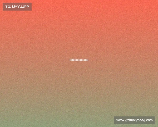 波兰国家队最新赛事动态与展望